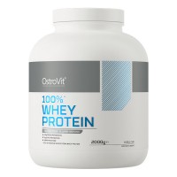 Протеїн OstroVit Whey Protein 2 кг Жувальна гумка