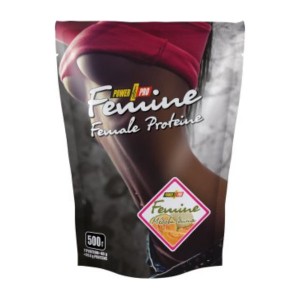 Протеин Power Pro Femine Protein 500 г Дыня