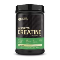 Optimum Nutrition Micronized Creatine Powder 1.2 кг