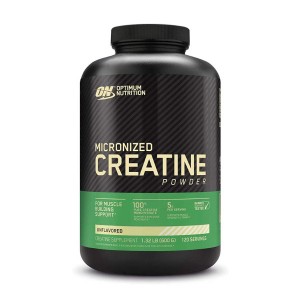Optimum Nutrition Micronized Creatine Powder 600 г