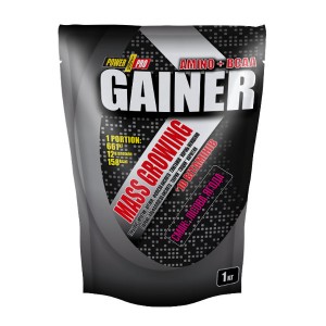 Гейнер Power Pro Gainer 1 кг Лісова ягода