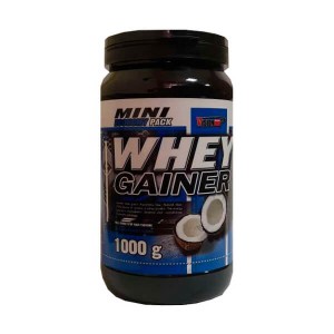 Гейнер Vision Whey Gainer 1 кг Кокос